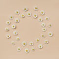 Wreath made of various chamomile flowers on a beige background. Flat lay, top view, copy space. Daisy in circle shape pattern. Royalty Free Stock Photo