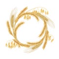 Wreath made of Wheat, barley, oat and rye spikes. Four cereals grains with ears, and free space Royalty Free Stock Photo