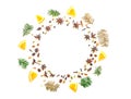 Wreath of mulled wine ingredients. Cinnamon, orange, cardamom, clove, anise and orange on white background.