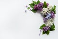 A wreath of multicolored spring flowers and green leaves of fragrant lilac Syringa vulgaris on white background. Royalty Free Stock Photo