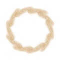 Wreath of pampas dry grass circle boho frame. Branch of pampas grass. Panicle, feather flower head. Border of pampas