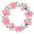 Wreath with pink chamomile flowers. Collection floral design elements for wedding invitations and birthday cards