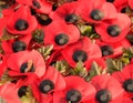 Wreath of poppies to commemorate the First World War. Royalty Free Stock Photo