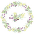 A wreath of raspberries and olives, plants cut to white. Vector illustration of berries