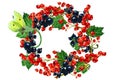 Wreath of red and black currant berries with leaves Royalty Free Stock Photo