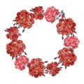 Wreath with red geranium flowers. Hand drawn watercolor illustration isolated on white background. Royalty Free Stock Photo
