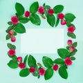 Wreath of roses with leaves and empty space inside on a blue background.Beautiful greeting card Valentine`s day, Wedding Royalty Free Stock Photo