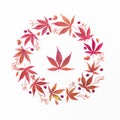 Wreath round frame made of autumn maple leaves on white background. Flat lay, top view. Autumn composition. Royalty Free Stock Photo