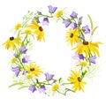 Wreath of summer wildflowers isolated