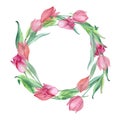 A wreath of tulips painted in watercolor