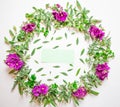 A wreath of violets on a white background. Round frame of purple flowers and fresh grass. Summer flowers.  Flat lay, top view. Royalty Free Stock Photo