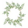 Wreath with watercolor pistache branches. Hand drawn illustration is isolated on white. Frame with green leaves