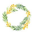 Wreath of watercolor mimosa flower isolate on white background.