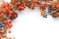 Wreath of wild plants in white background