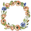 Wreath of wildflowers: cornflowers and poppies on white. Ink, watercolor. Hand-drawn illustration. For invitation, card Royalty Free Stock Photo