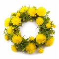 Wreath of yellow dandelion flowers isolated on white background close-up, Royalty Free Stock Photo