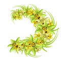 Wreath of yellow-green lilies on a white background. Illustration of summer flowers in watercolor style. Royalty Free Stock Photo