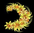 Wreath of yellow-orange lilies on the black background. Illustration of summer flowers in watercolor style. Royalty Free Stock Photo