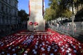 Wreaths laid at the Cenotaph memorial on Whitehall, London, UK on 16 November 2022, with members of the public looking on from the
