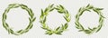 Wreaths of olive tree branches with green fruits Royalty Free Stock Photo
