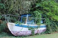 wreck of an abandoned boat submerged in the vegetation that has