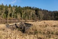 Wreck of a boat on the shores of the lake