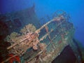 The wreck of the Cedar Pride in Aqaba