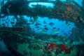 Wreck and fishes swim in Gili, Lombok, Nusa Tenggara Barat, Indonesia underwater photo