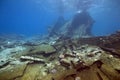 Wreck freighter Kormoran - sank in 1984 Tiran Royalty Free Stock Photo