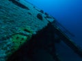 Wreck of the Hilma of the coast of Bonaire, Netherlands Antilles