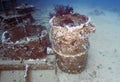 The wreck of the Million Hope near Nabq, Sharm el Sheikh