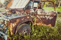 The wreck of an old, yellow truck was ravaged, covered with weeds Royalty Free Stock Photo