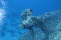 Wreck of a passenger ferry Salem Express lying at the bottom of Red Sea in Egypt near Safaga Royalty Free Stock Photo