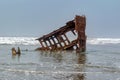 The Wreck of the Peter Iredale, Clatsop Spit near Fort Stevens i Royalty Free Stock Photo