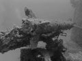 The wreck of a Russian frigate sunk off the coast of Varadero