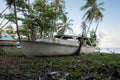 Wreck ship on tropical island