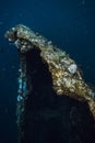 Wreck ship underwater in deep ocean Royalty Free Stock Photo