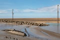 Wreck of a small boat in the mud Leasowe Wirral June 2019