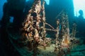 Wreck Victoria Maldives