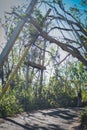 The wreckage of Hurricane Maria. Royalty Free Stock Photo