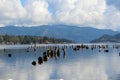 Wreckage of an old pier protruding from Lake Whatcom Royalty Free Stock Photo