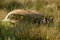 Wrecked Car, Field Royalty Free Stock Photo