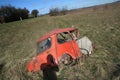 Wrecked motor car in field Royalty Free Stock Photo