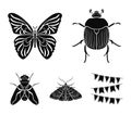 Wrecker, parasite, nature, butterfly .Insects set collection icons in black style vector symbol stock illustration web.