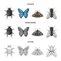 Wrecker, parasite, nature, butterfly .Insects set collection icons in cartoon,outline,monochrome style vector symbol