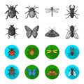 Wrecker, parasite, nature, butterfly .Insects set collection icons in monochrome,flat style vector symbol stock