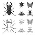 Wrecker, parasite, nature, butterfly .Insects set collection icons in outline,monochrome style vector symbol stock