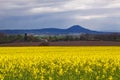 The Wrekin view