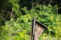 Wren Bird Sits on the Top of a Nesting Box Royalty Free Stock Photo