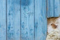 Wren perching by blue barn door Royalty Free Stock Photo